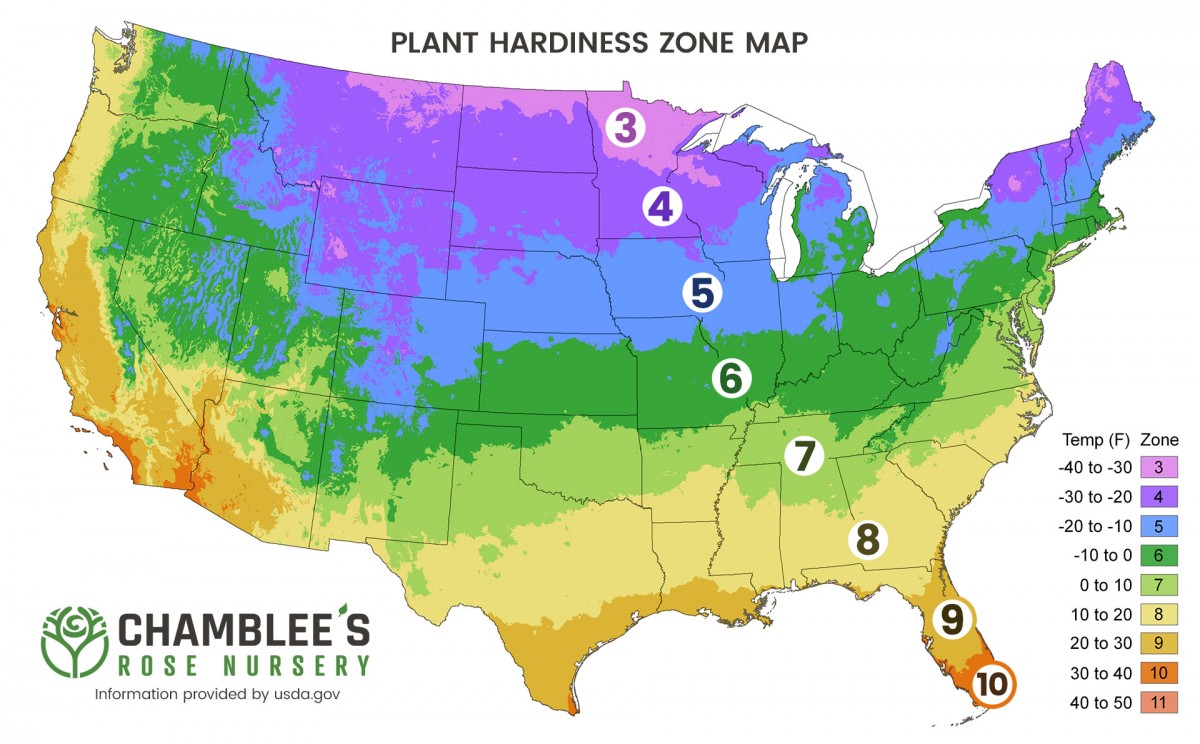 Hardiness Zone Map